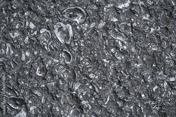 Obraz Sea She’ll Sidewalk