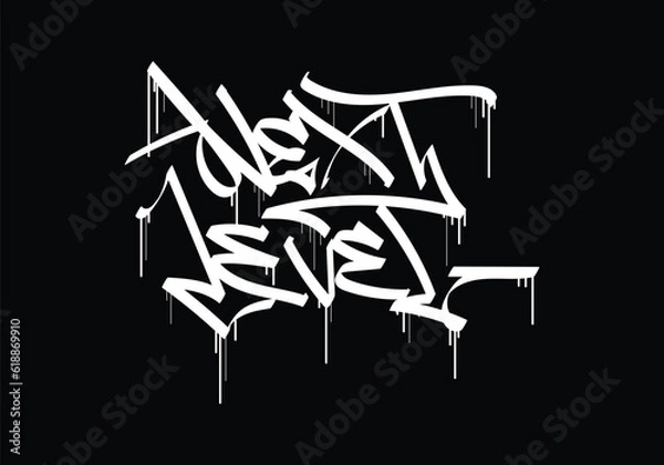 Obraz NEXT LEVEL word graffiti tag