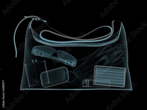 Fototapeta Dolly-bag in x-ray