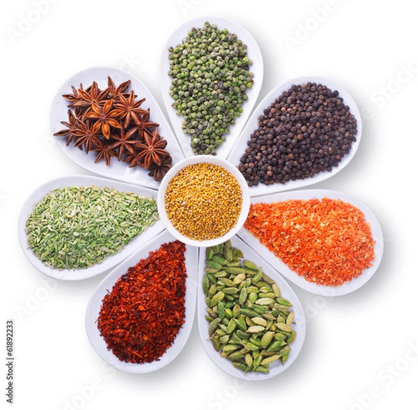 Obraz kompozycja przypraw na białym tle