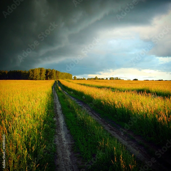 Obraz Fields Landscape