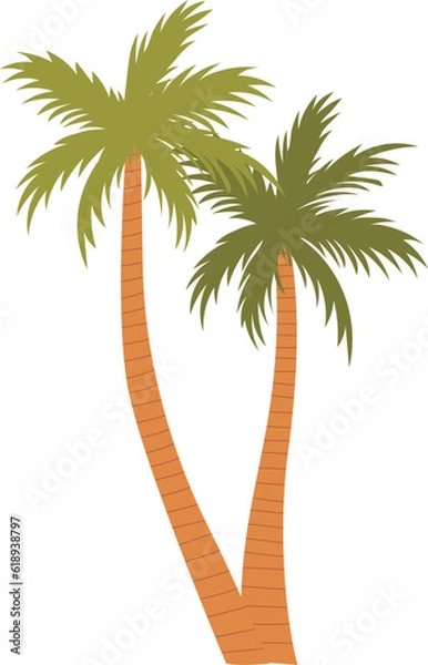 Obraz Palm tree on white background