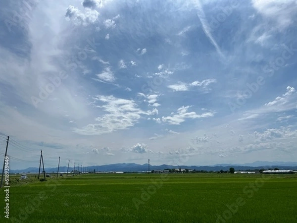 Obraz 220703田んぼ蔵増
田んぼ
空
雲
晴れ
天童市蔵増