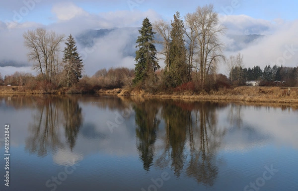 Fototapeta Reflections of the trees in a foggy winter day