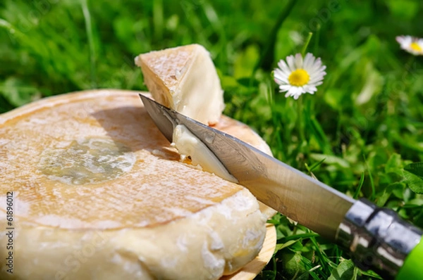 Obraz reblochon, ser z surowego mleka, francuski terroir