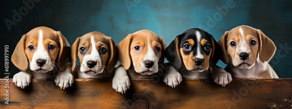 Fototapeta Group of cute beagle puppies in a row over wooden background.