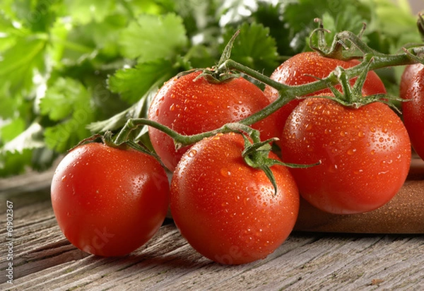 Obraz pomidory koktajlowe