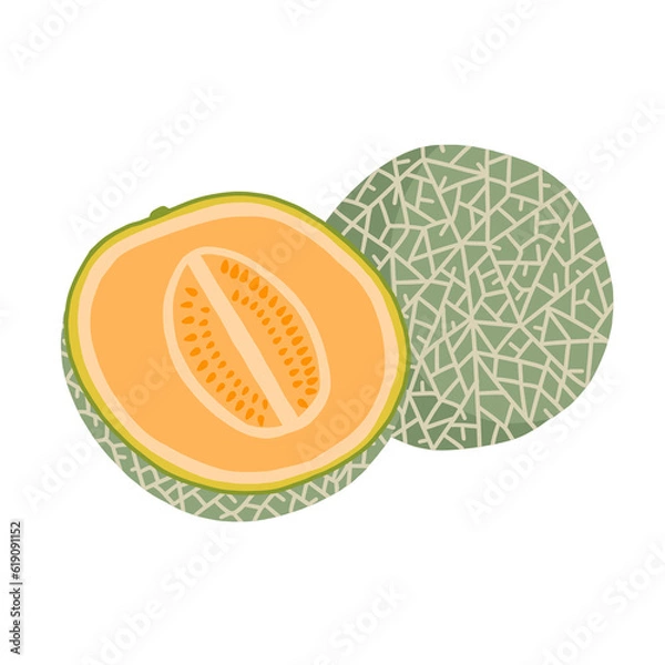 Obraz Cantaloupe cute