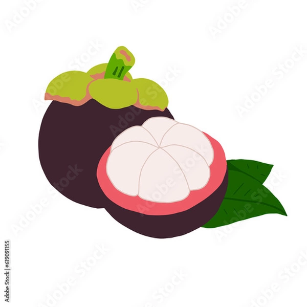 Obraz Mangosteen
