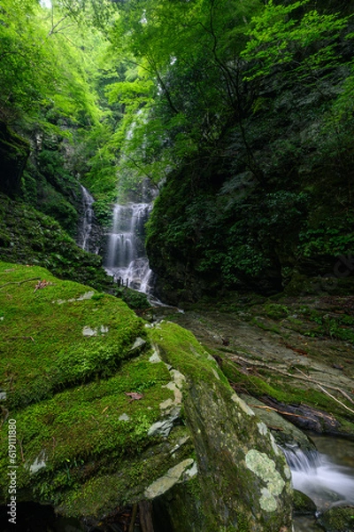 Fototapeta 母衣暮露滝,