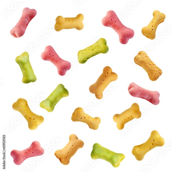 Obraz Bones biscuits for dogs with different flavors on a transparent background. Background
