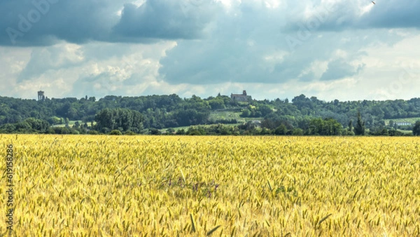 Obraz Céréales, Blé.