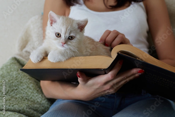 Obraz cat on the book