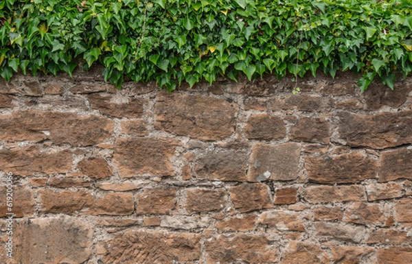 Obraz Old Stone Wall. Texture, Background.