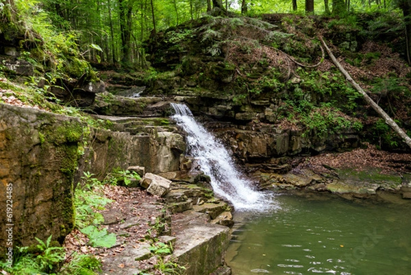 Obraz small waterfall in the forest