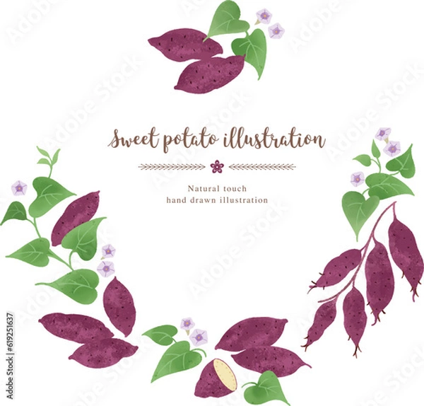 Fototapeta ナチュラルなタッチのサツマイモのイラスト/サークル