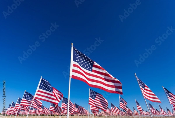 Fototapeta A display of American flags with a sky background