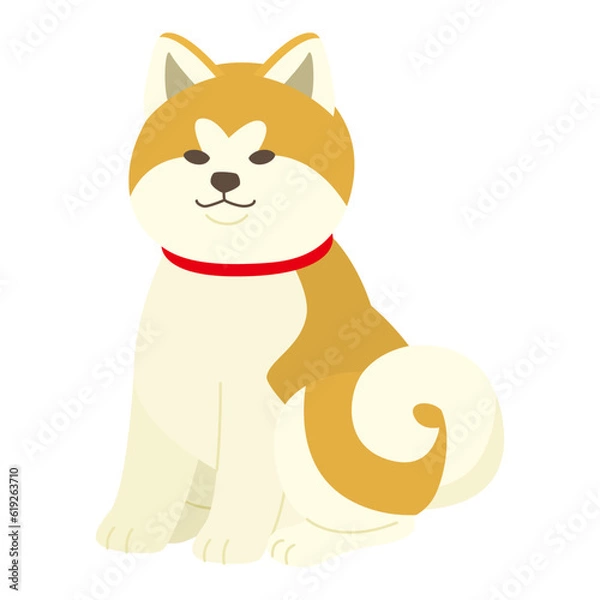 Obraz 秋田犬のイラスト