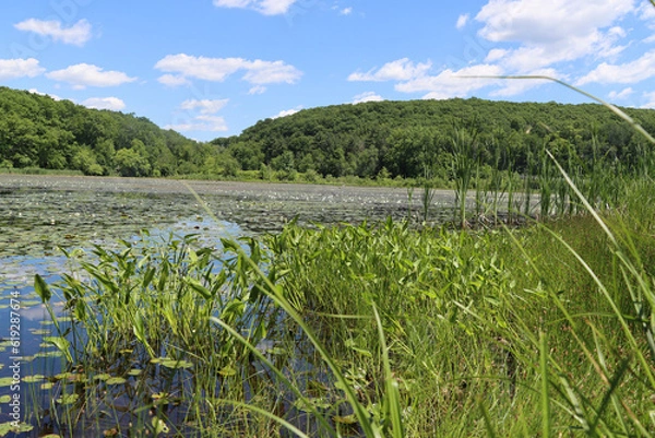 Obraz lake in the mountains