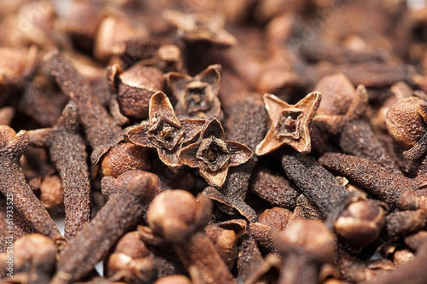 Fototapeta goździki