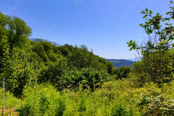 Obraz Mountainous Armenia landscape on a sunny spring day
