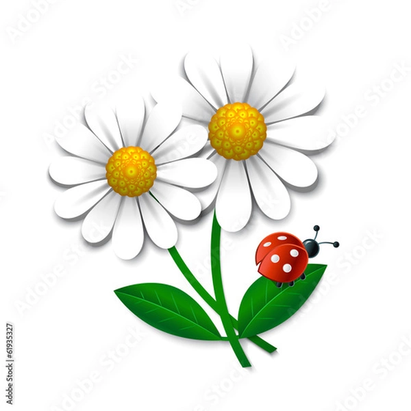 Obraz Vector flowers with ledybug