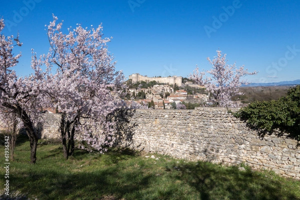 Fototapeta Paysage de provence