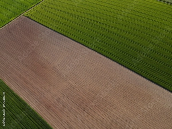 Fototapeta Green growing crop fields and plowed agricultural land from above in spring