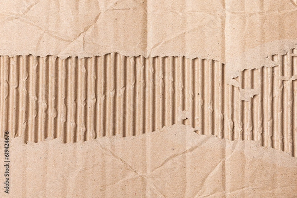 Fototapeta Torn Ripped Carton Cardboard Paper Texture Background