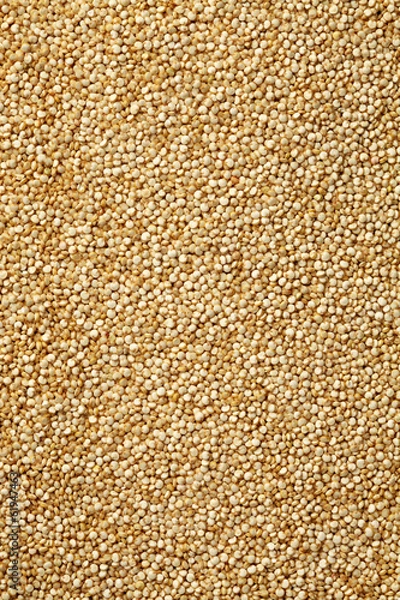 Fototapeta Uncooked quinoa background