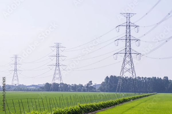 Obraz Electric Transmission Tower on filed