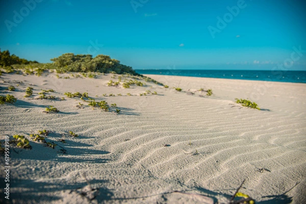 Obraz Beautiful ocean beach with dunes