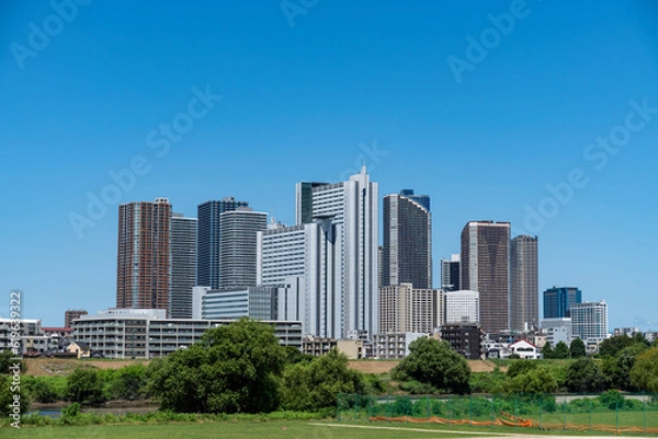 Fototapeta 多摩川沿いの高層ビルの風景