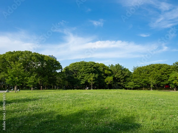 Obraz 緑あふれる辰巳の森緑道公園　清々しい！