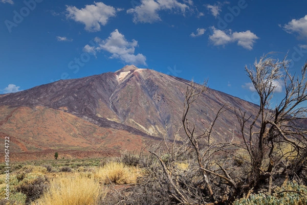 Fototapeta The famous El Teide volcano in Tenerife, Canary islands, Spain. Volcanic landscape in front a blue sky and white clouds.
