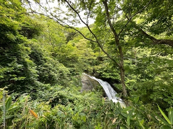 Obraz 210702東根の関山大滝

滝
関山大滝
