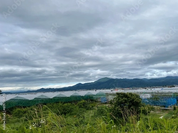 Obraz 210702村山さくらぼ畑
さくらんぼ畑
曇り
ビニールハウス