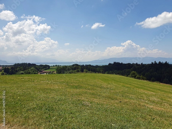 Fototapeta landscape with field and sky