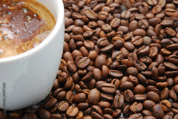 Obraz coffe cup with coffee beans 