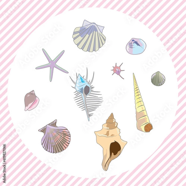 Obraz 貝殻モチーフ　イラスト素材セット