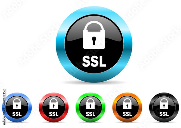 Fototapeta ssl icon vector set
