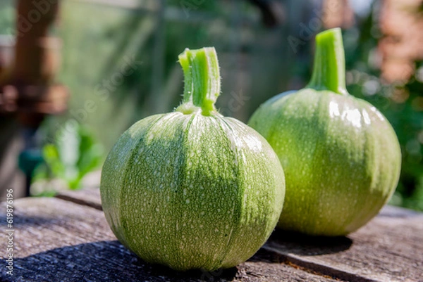 Obraz Round zucchinis