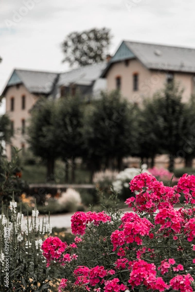 Obraz säsiche Schweiz