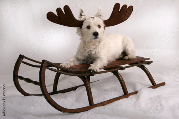 Fototapeta santa's helper