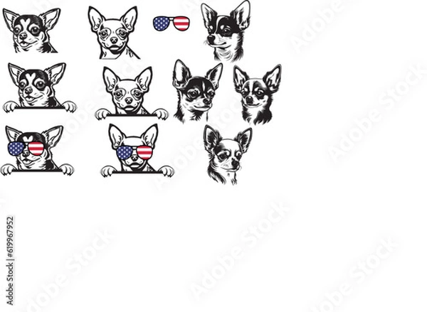 Fototapeta Cute little chihuahua puppy with sunglasses.Vector