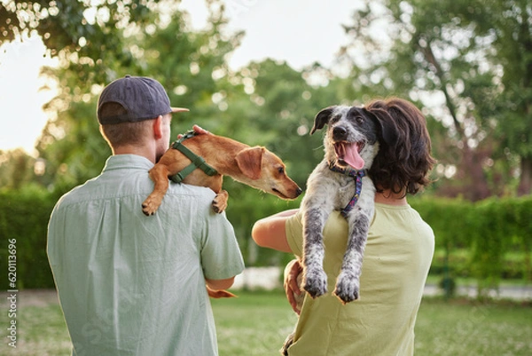Obraz Support, care or happy family, men and kids bonding with foster puppy or pet and enjoying time together. High quality photo