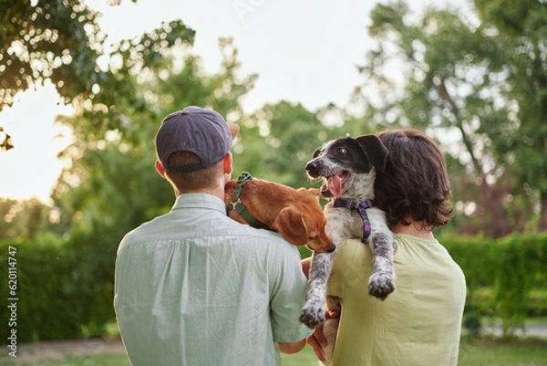 Obraz Support, care or happy family, men and kids bonding with foster puppy or pet and enjoying time together. High quality photo