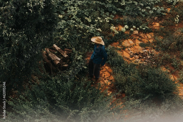 Obraz person sitting on a bench
