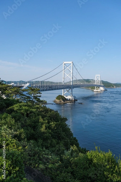 Obraz 展望台から眺める大鳴門橋と鳴門海峡