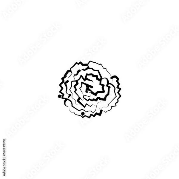 Obraz hand drawn flower